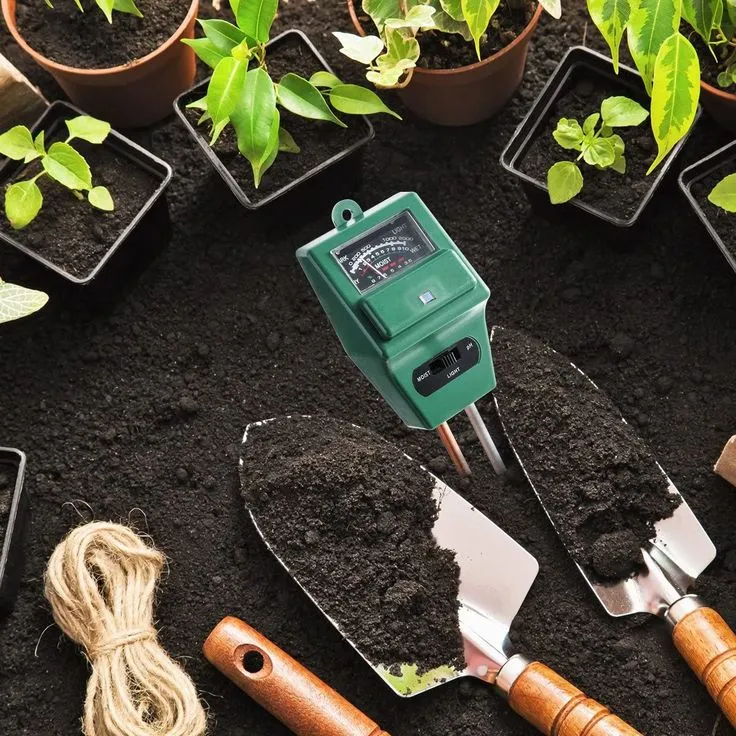 Best Soil Moisture Sensors for UK Gardens