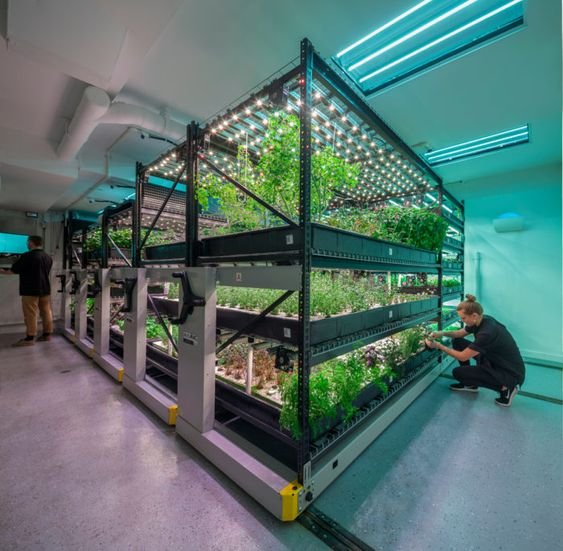 Industrial Vertical Farming