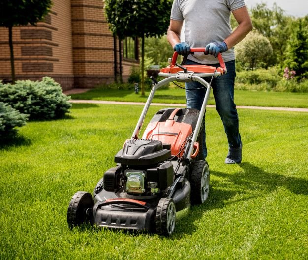 Lawn Mower Garden